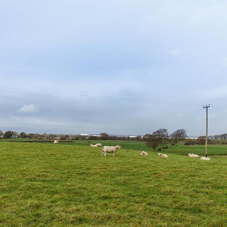 Vila The Paddock At Brickrow Farm Ayr Exteriér fotografie